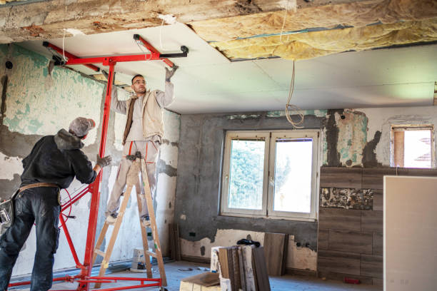 Best Insulation Replacement Services  in West Hempstead, NY