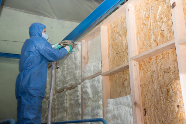 Best Insulation Repair Services  in West Hempstead, NY